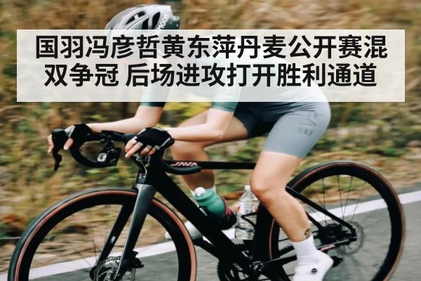 国羽冯彦哲黄东萍丹麦公开赛混双争冠 后场进攻打开胜利通道